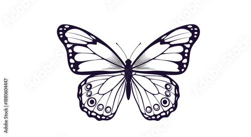 Elegant black and white monarch butterfly illustration with detailed wing patterns is centered on a white background as a nature symbol.