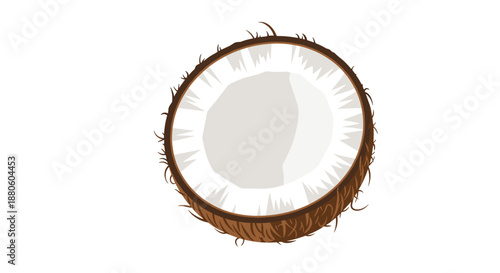 Detailed illustration of a sliced coconut half showing the white fleshy interior and the brown hairy outer husk on a white background.