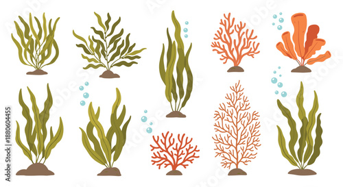 Diverse collection of colorful underwater plants, seaweeds, and corals with air bubbles is displayed for marine biology and ocean floor themes.
