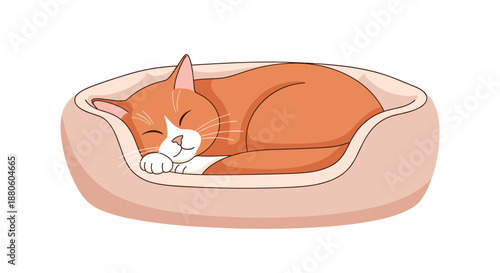 Adorable ginger and white cat peacefully sleeping curled up inside a soft plush pet bed isolated on a plain white background for animal lovers.