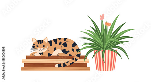 Domestic tabby cat resting comfortably on a stack of wooden blocks next to a vibrant potted spider plant with small pink flowers for home decor.