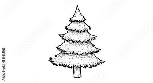Detailed black and white engraving style illustration of a coniferous pine tree stands tall as a classic symbol of nature and the great outdoors.