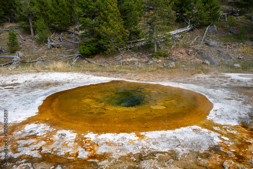 Yellowstone