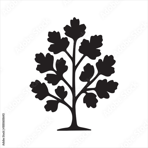 Vector Illustrator Parsley herb plant design black and white Silhouette