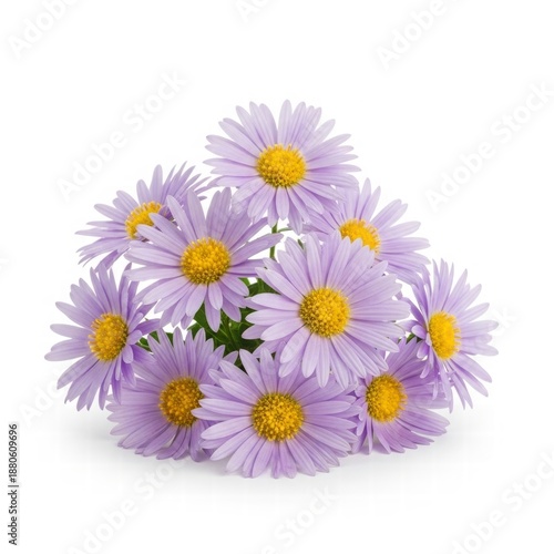 Aster Bouquet: A charming bouquet of delicate aster flowers, each bloom exhibiting soft pastel petals and a sunny yellow center, presented in a vibrant display.