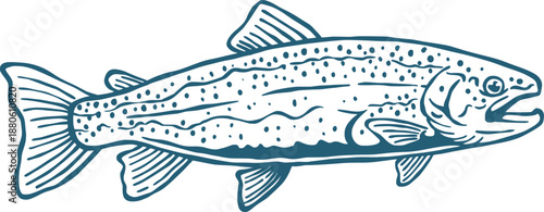 Rainbow Trout Fish Hand Drawn Vector Illustration, Fishing Artwork Design