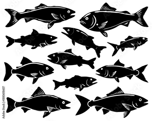 Trout and Salmon Fish Silhouettes Vector Graphic