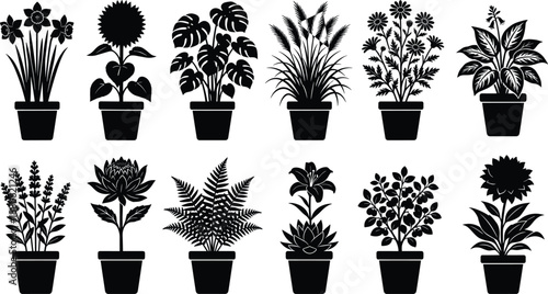 Potted plant silhouettes, floral icons, botanical shapes, leafy designs, black vector plants, decorative foliage, indoor greenery, nature graphics, garden decor