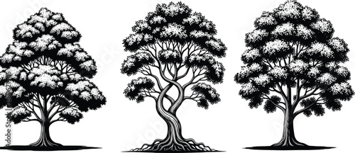 Tree silhouettes, artistic branching patterns, diverse canopy shapes, black illustration, nature design, botanical form, elegant trunk, foliage symmetry