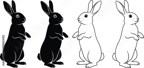 Coloring page of four rabbits in different stages
