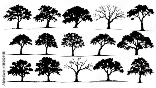 Clean vector set of black oak tree silhouettes with strong shapes and natural details, perfect for forest themes, landscapes, logos, and minimalist design projects.