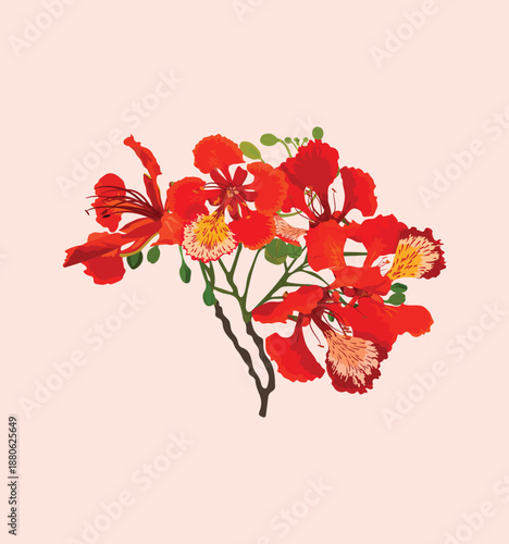 Quadro su tela flamboyant red flowers 02