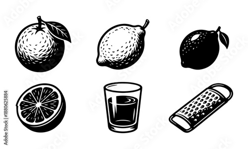 Engraved Style Vector Set of Citrus Fruits, Zester, and Shot Glass