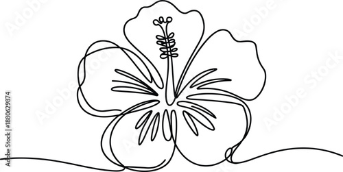 Black and white hibiscus flower line black and white
