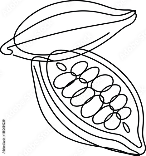 Black and white outline of a leaf with detailed internal structure
