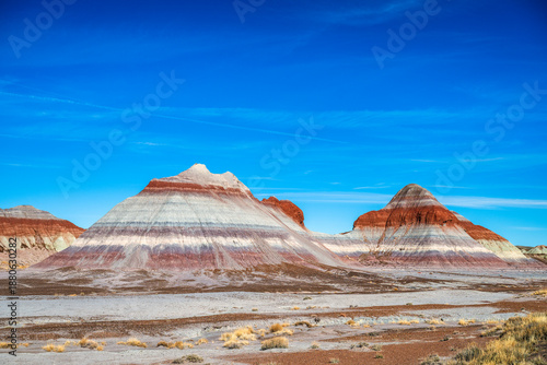 Arizona