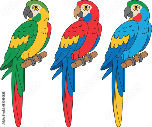 Collection of three colorful flat vector bird icons including crested oriole tit and robin species