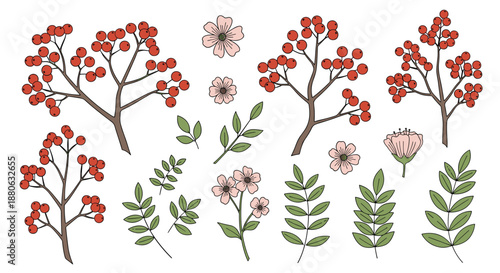 Botanical collection of various red berry branches, green leaves, and pink flowers isolated on a plain white background.