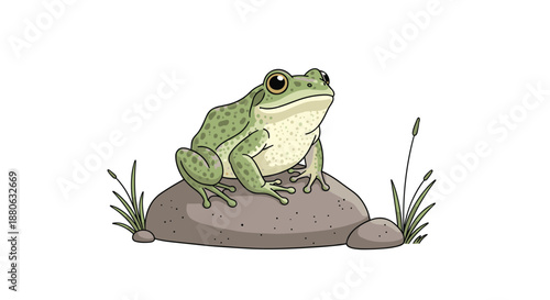 Calm green spotted frog sitting on a grey rock surrounded by grass and plants provides a peaceful wildlife scene.