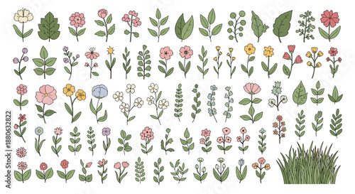 Comprehensive set of hand-drawn botanical sketches featuring a wide variety of leaves, small flowers, and a patch of green grass.
