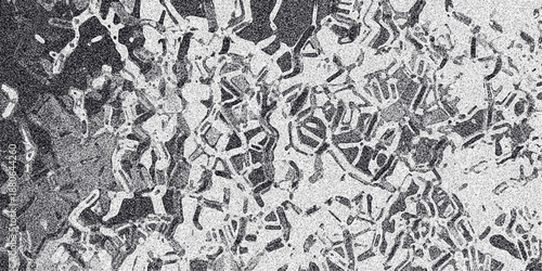 Detailed monochrome abstract background with intricate interconnected organic shapes and a grainy texture resembling a complex biological network