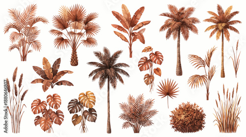 Watercolor set of brown tropical palm trees, monstera leaves and dried grasses isolated on white background, concept for wedding invitation, bohemian decoration and textile design