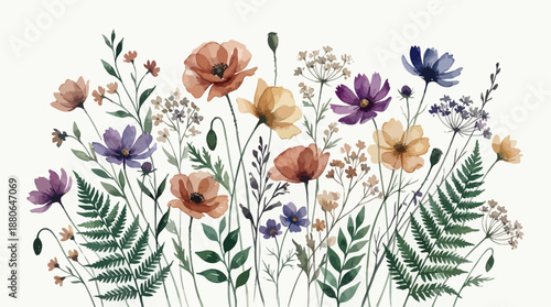 A delicate watercolor illustration of colorful wildflower meadow border featuring poppies, cosmos and ferns on a white background, concept for wedding invitations, textile design and packaging
