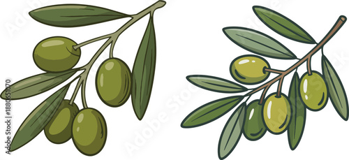 Olive Tree Branch Botanical Drawing Set - Fresh Olives with Leaves Hand Drawn Style -olive, olives, olive branch, olive tree, green olives, olive fruit, olive leaves, botanical illustration, plant ill