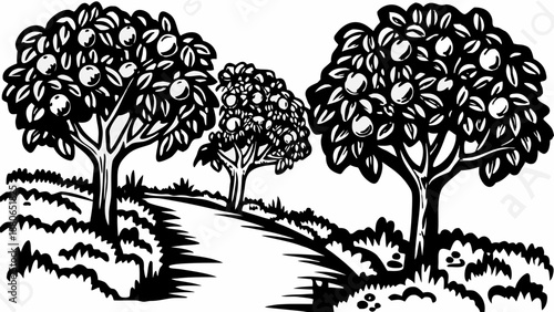 Black and white vector illustration of lush orchard with fruit trees on a hill