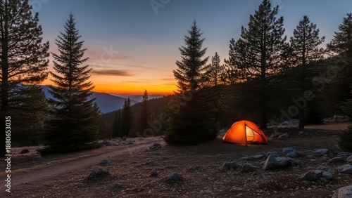 Camping Tent at Sunset in Pine Forest