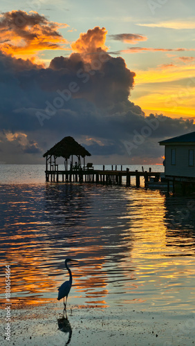 caye caulker sunrise