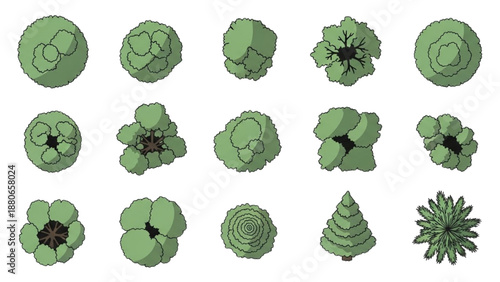 Collection of green floral illustrations showcasing various stages of blooming flowers and plants from different viewpoints
