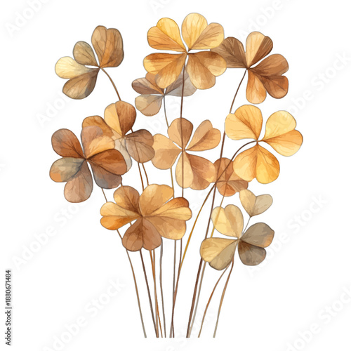Watercolor Illustration of Autumn Clover Plants with Brown and Yellow Leaves
