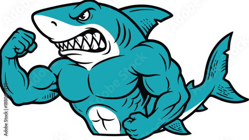 Muscular shark mascot vector illustration, aggressive gym shark character with flexed arms and sharp teeth, bold sports logo artwork for teams