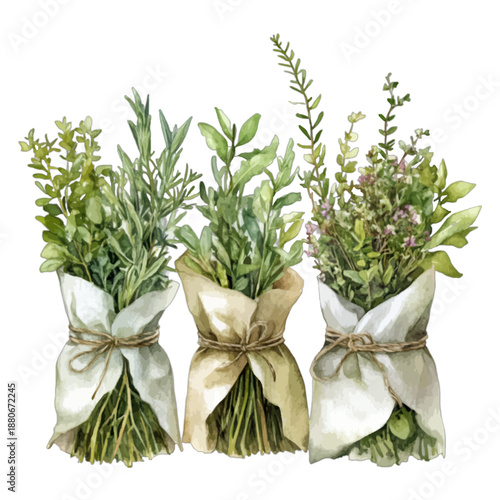Watercolor Illustration Set of Three Fresh Herb Bouquets Wrapped in Rustic Paper and Twine
