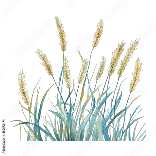 Watercolor Wild Rye or Wheat Grass in Green Hues Illustration
