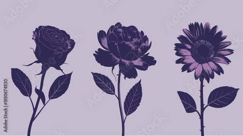 Elegant floral illustrations of rose, peony, and sunflower in purple