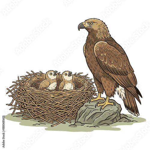 Detailed Illustration Golden Eagle Standing Guard Nesting Birds Illustration