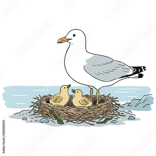 Detailed Cartoon Seagull Bird and Chick Nest Scene Illustration