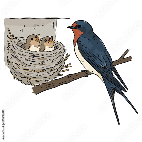 Cute Handdrawn Watercolor Swallow Bird with Nest Illustration