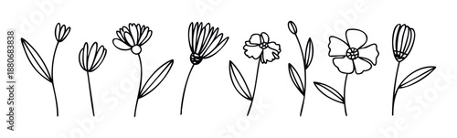 Simple handdrawn floral collection perfect for adding a natural organic touch to various graphic resources such as invitations, greeting cards, and branding projects