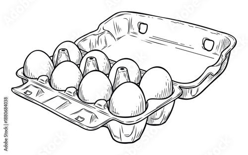 Detailed hand drawn sketch of an open half dozen egg carton filled with fresh eggs ideal for food related projects cookbooks and kitchen product packaging