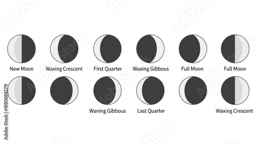 Illustrations of the eight phases of the moon