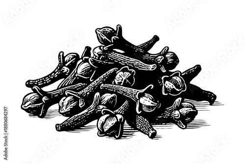 A pile of cloves hand-drawn in black and white sketch style on a plain white background, representing culinary spice and natural flavoring