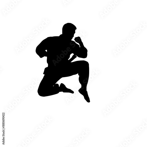 Silhouette of a Martial Artist in Mid-Air Performing a Kick.