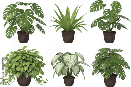 Collection of realistic indoor house plants in brown pots, green tropical foliage vector illustration including monstera and pothos, isolated on white background, decorative greenery.