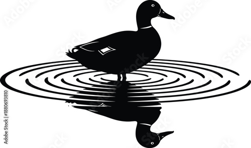Duck silhouette with water reflection, mallard swimming in pond, bird on lake ripples, waterfowl nature icon, wild animal vector illustration, isolated black,
