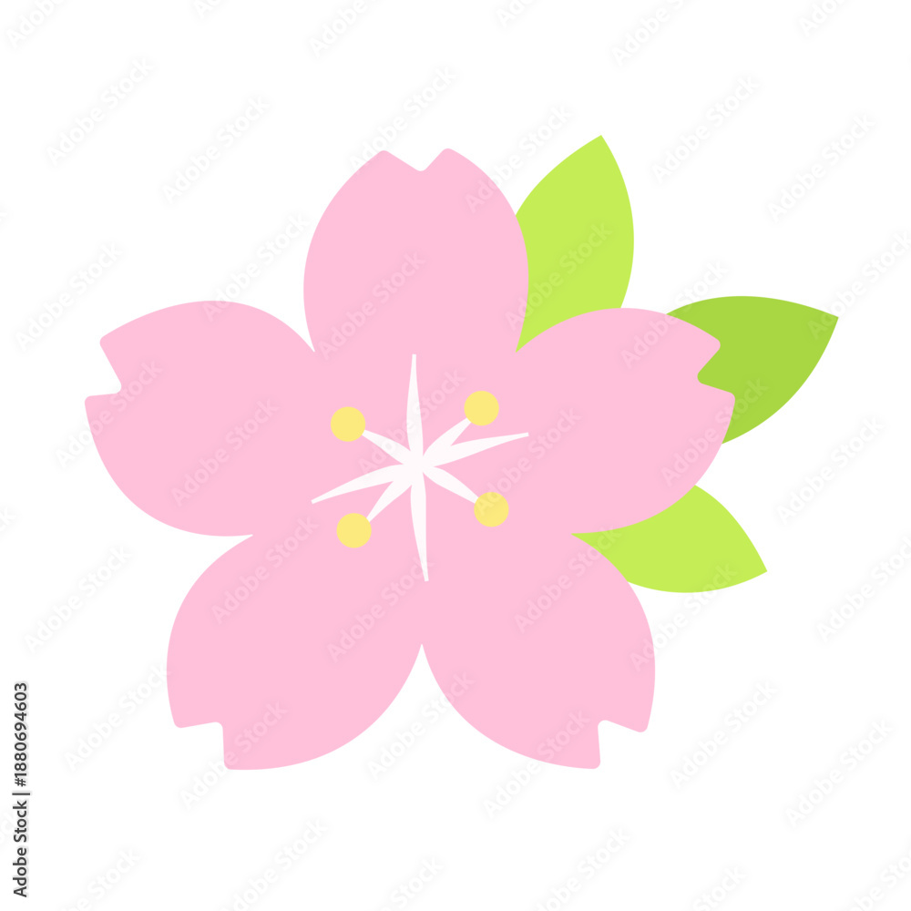 Fototapeta premium cherry blossom