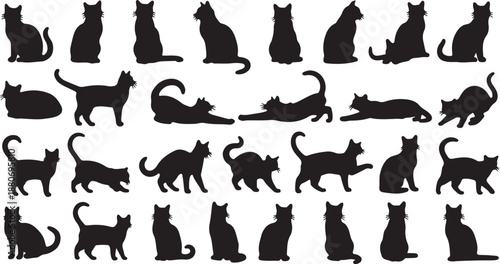 Vector collection of isolated cat and kitty silhouette icons, farm animal style black shape set.eps