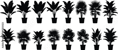 Large collection of indoor potted plant silhouettes set, tropical and houseplant varieties isolated on white background, botanical foliage decor, interior design and greenery vector illustration